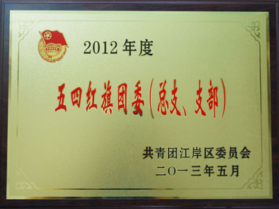 湖北東信醫(yī)藥有限公司團支部榮獲2012年度“五四紅旗團委”