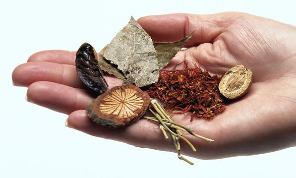 藥品注冊變革，中藥迎大利好！