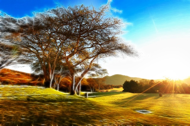 第二波疫情來襲？送你一份養(yǎng)肺指南