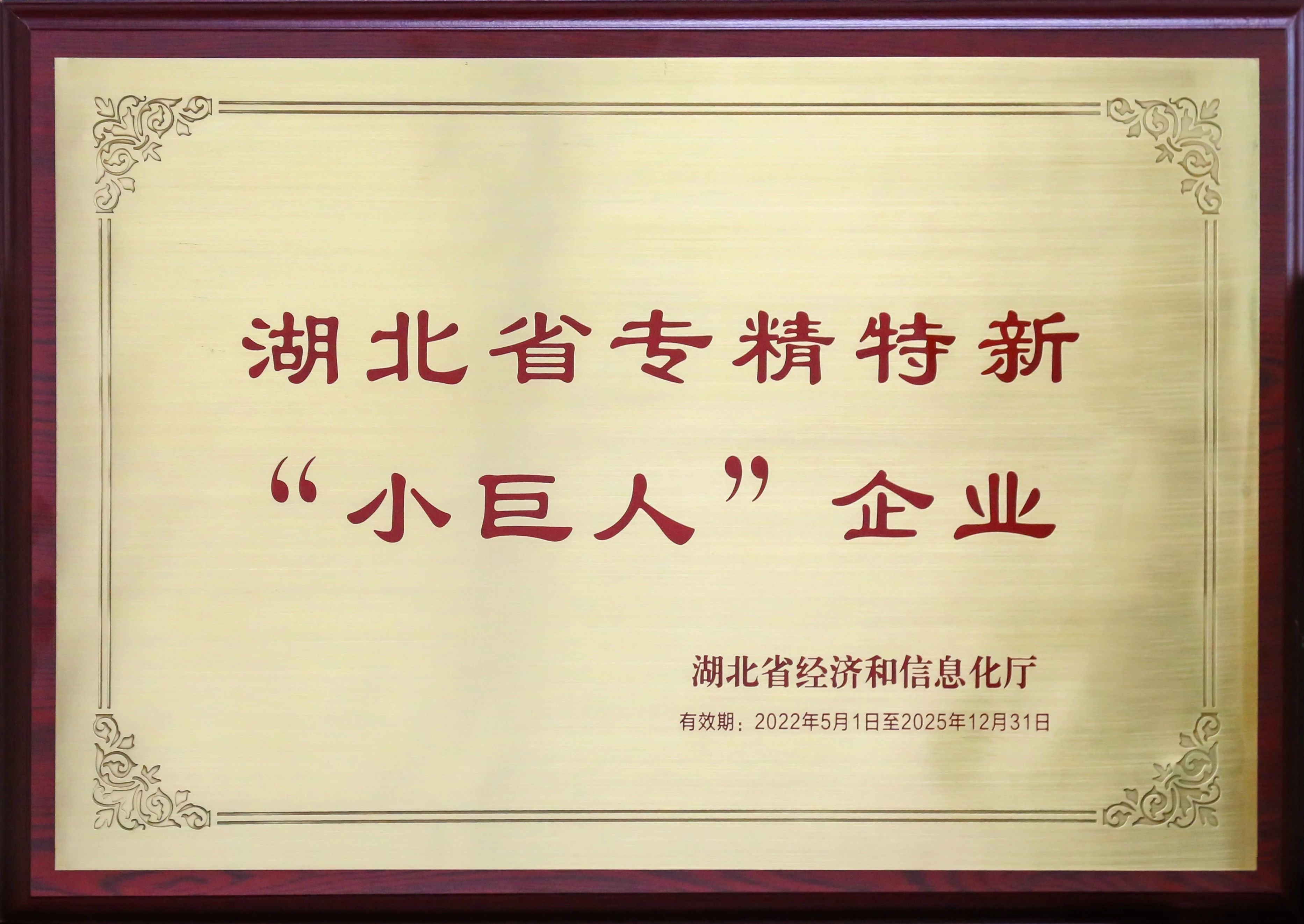 盤點新疆26省聯(lián)盟集采，湖北東信擬中選（婦科）品種數(shù)量名列榜首